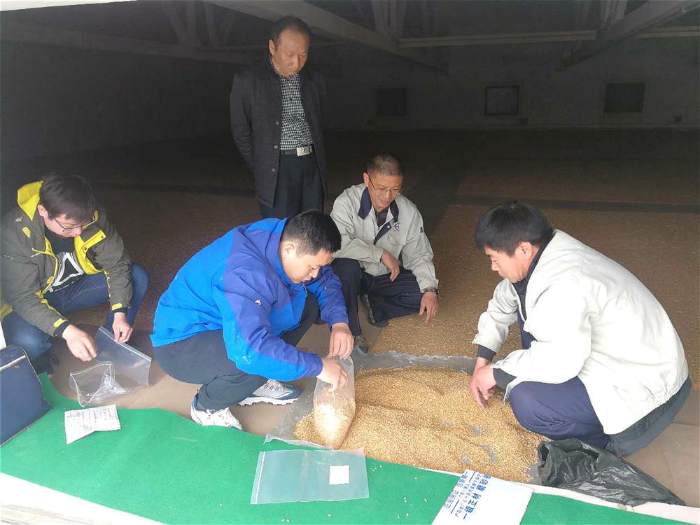 物流集團(tuán)以扎實(shí)的工作迎接全國(guó)政策性糧食庫存大檢查